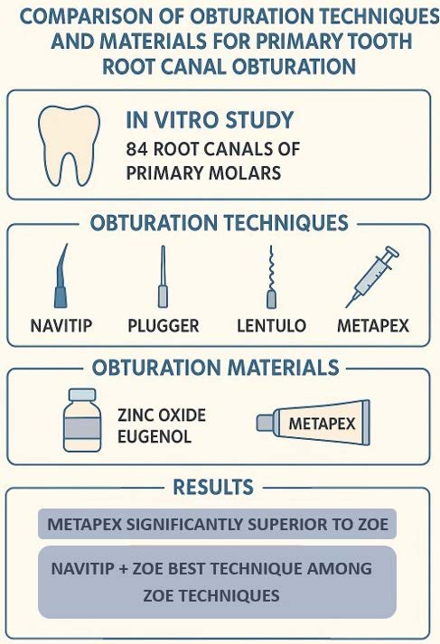 Graphical Abstract