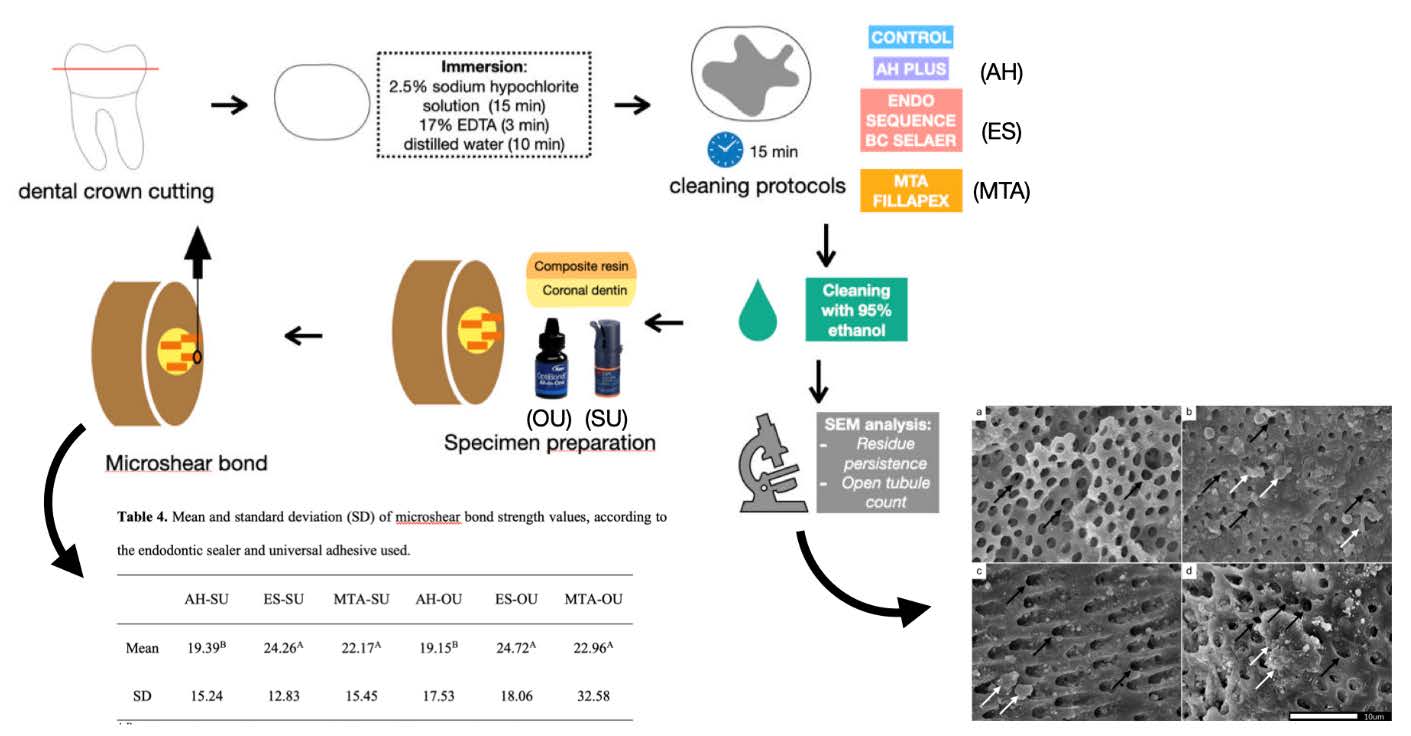 Graphical Abstract